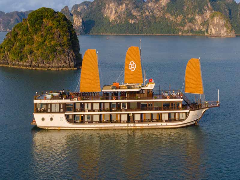 Peony Cruise - 3 Days 2 Nights - Halong Bay & Lan Ha Bay