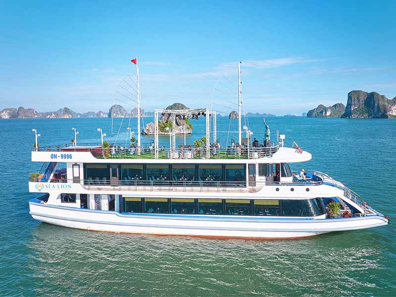 Sea Lion Cruise - 1 Day Tour Halong Bay