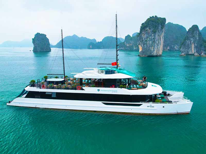 The Halong Catamaran Cruise - 1 Day Tour - Halong Bay & Lan Ha Bay