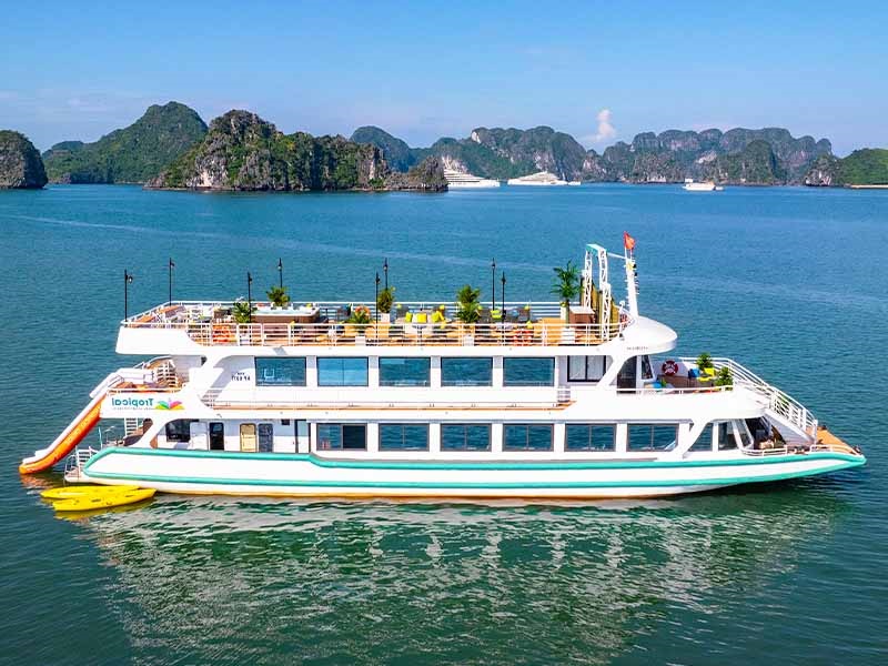 Tropical Cruise - 1 Day Tour - Halong Bay & Lan Ha Bay